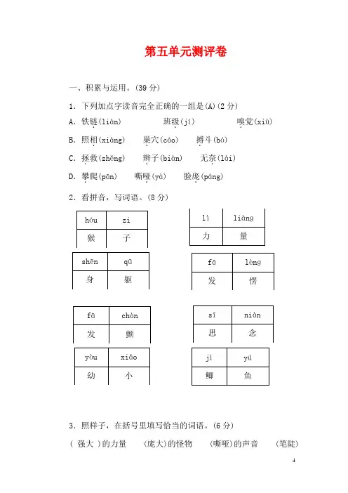 四年级上册语文试题  第五单元测评卷(含答案)部编版