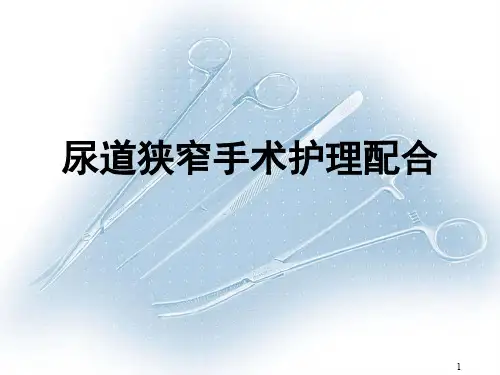尿道狭窄切开术PPT课件