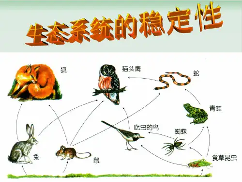 六年级下册科学课件PPT：生态平衡-苏教版1