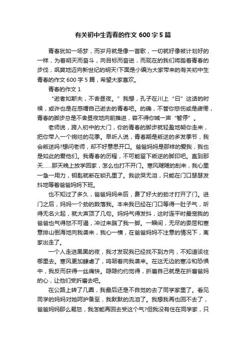 有关初中生青春的作文600字5篇