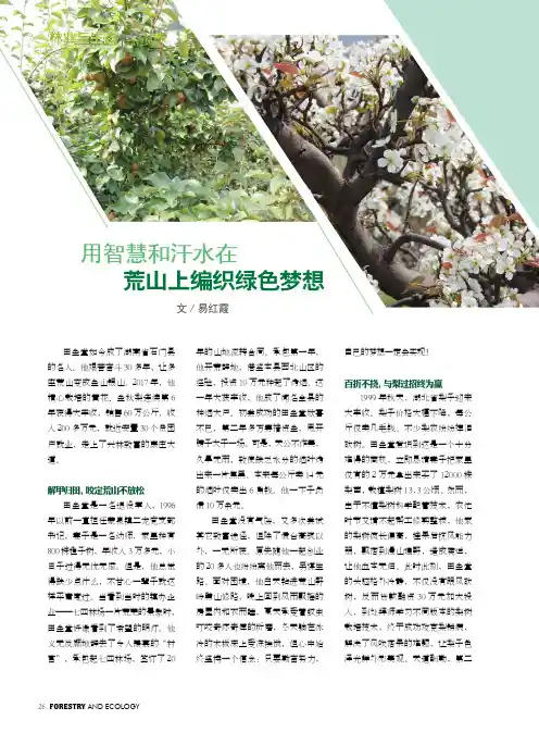 用智慧和汗水在荒山上编织绿色梦想