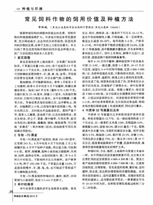 常见饲料作物的饲用价值及种植方法