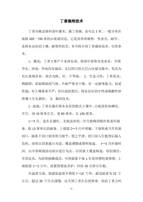 丁香栽培技术