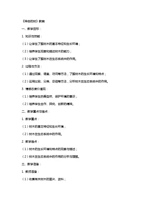《神奇的树》教案