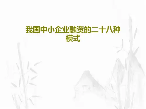 我国中小企业融资的二十八种模式90页PPT