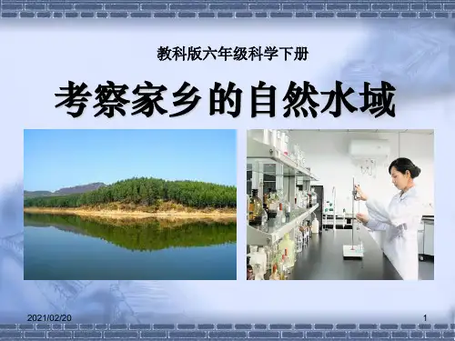 小学六年级下册科学 《考察家乡的自然水域》环境和我们优质课件PPT