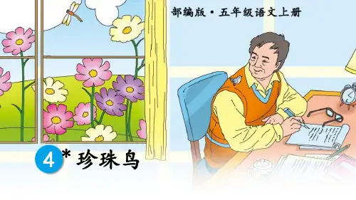 部编版五年级上册语文《珍珠鸟》PPT课文课件