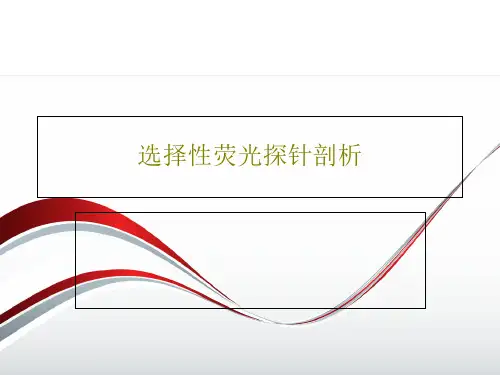 选择性荧光探针剖析39页PPT