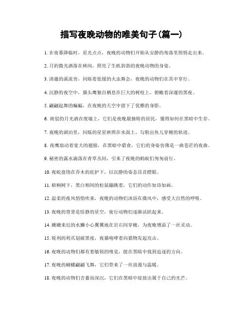 描写夜晚动物的唯美句子(精选两篇)