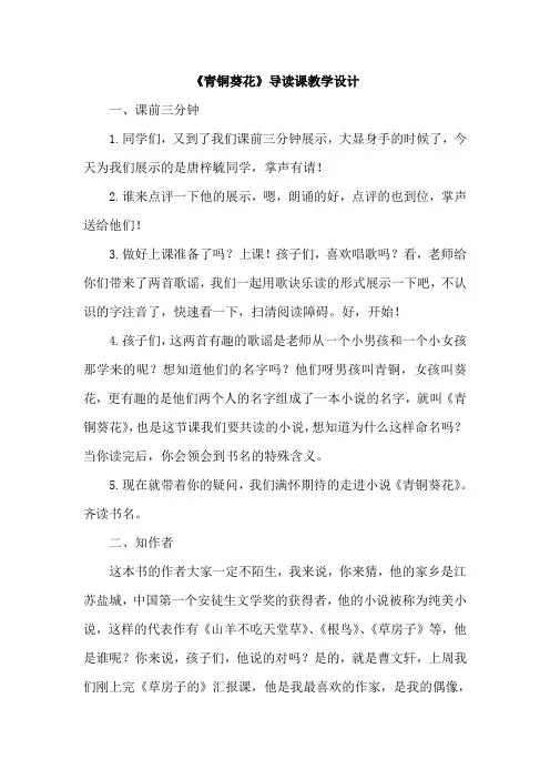 青铜葵花备课详案18