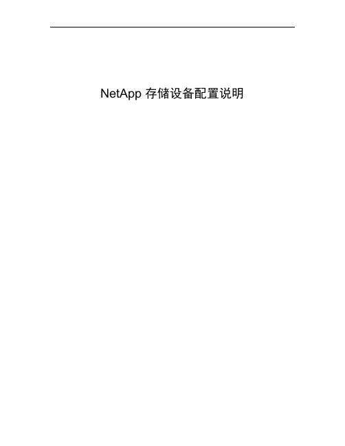 NetApp存储设备安装配置手册(DOC)