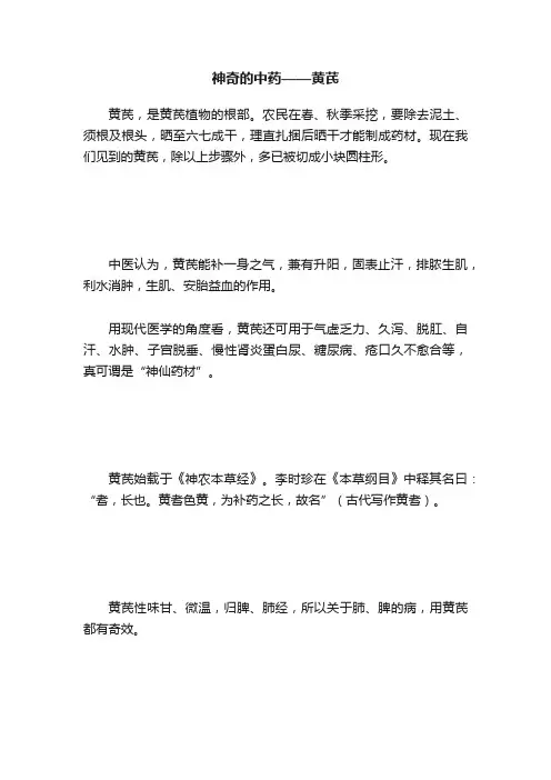 神奇的中药——黄芪