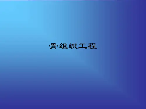 骨组织工程ppt