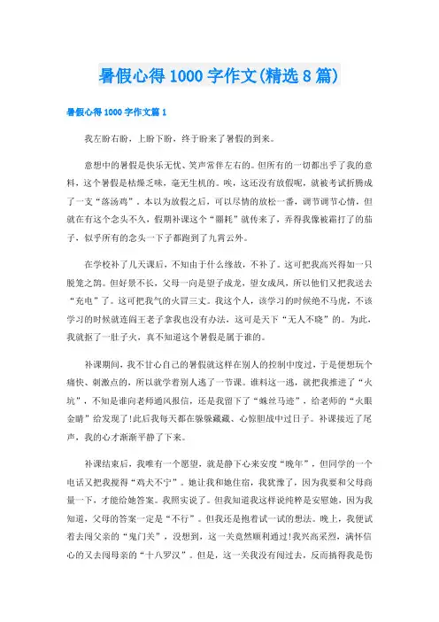 暑假心得1000字作文(精选8篇)