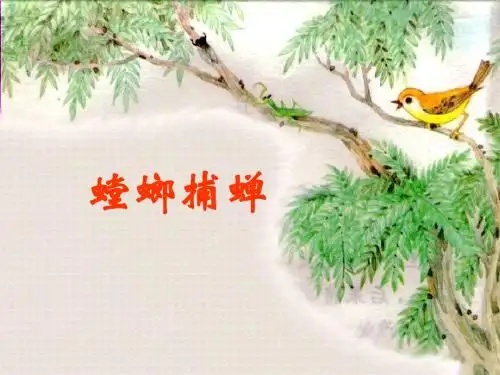 北师大版语文第十一册《螳螂捕蝉》PPT课件3PPT、优质教学课件