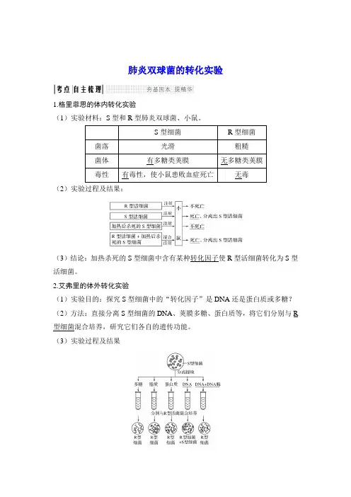 MXT2-肺炎双球菌的转化实验