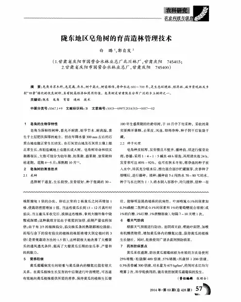 陇东地区皂角树的育苗造林管理技术