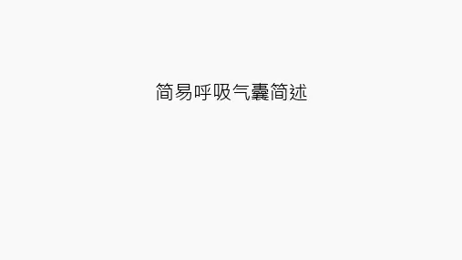 简易呼吸气囊简述知识讲解课件