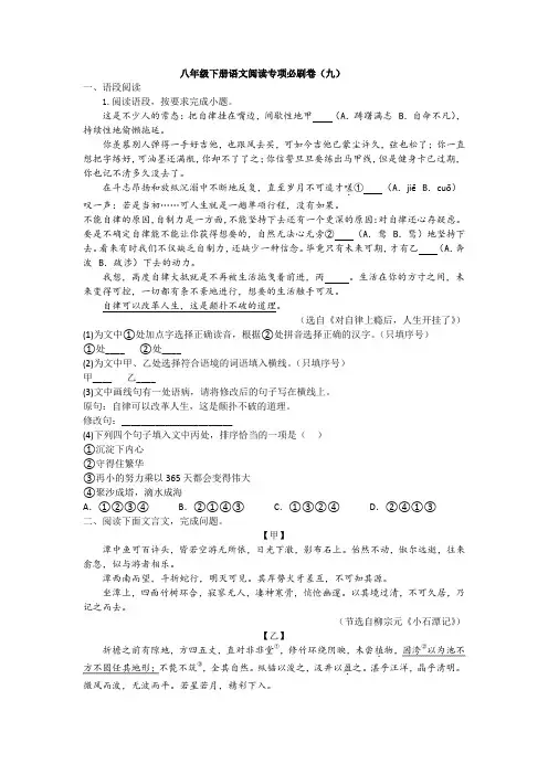 八年级下册语文阅读专项必刷卷9 试卷(含答案)