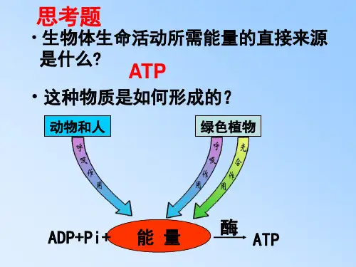 ATP的主要来源