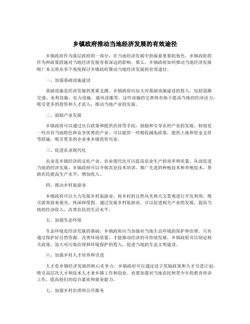 乡镇政府推动当地经济发展的有效途径