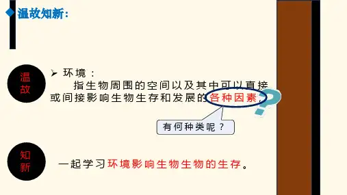 苏科版生物七年级上册《环境影响生物的生存》课件
