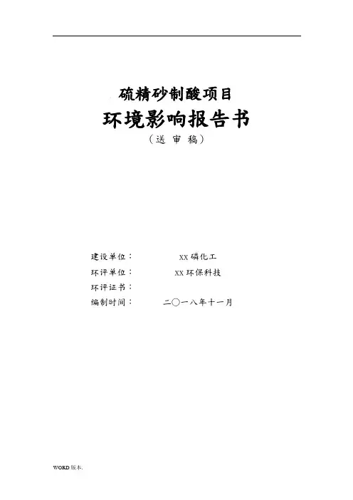 300kta硫精砂制酸项目环境影响报告书