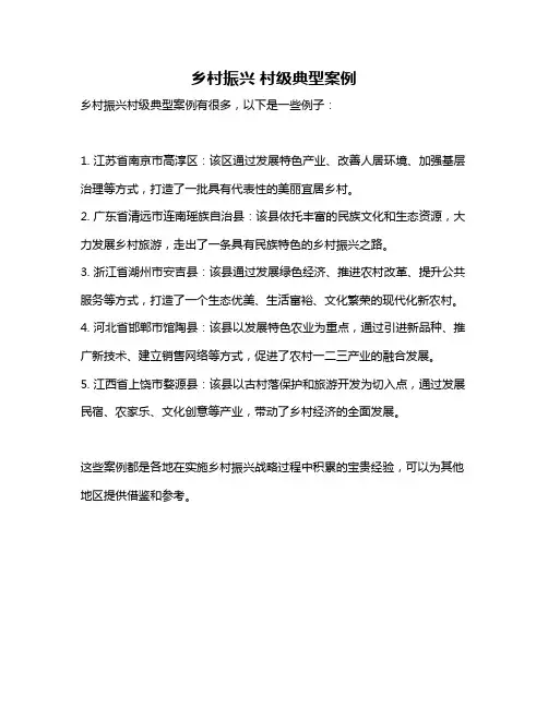 乡村振兴 村级典型案例