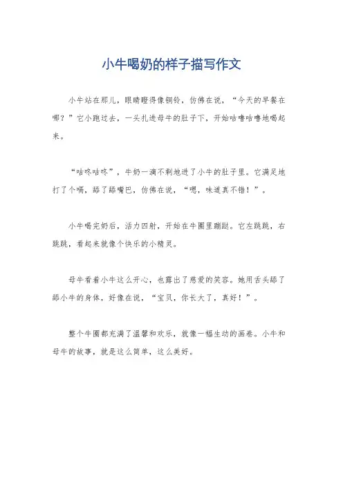 小牛喝奶的样子描写作文