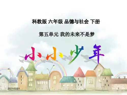 小小少年-(科教版)六年级品德与社会下册优质课件PPT