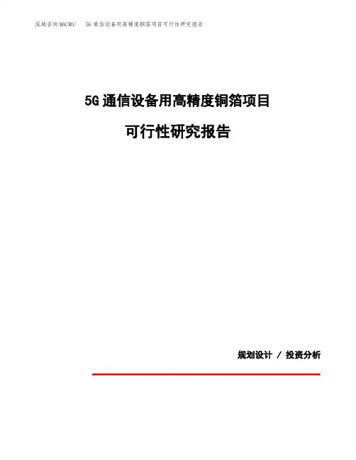 5G通信设备用高精度铜箔项目可行性研究报告模板范文(立项备案项目申请)