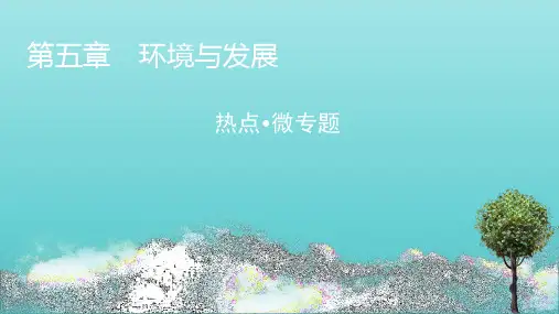 2020_2021学年新教材高中地理第五章环境与发展热点微专题含解析课件新人教版必修第二册