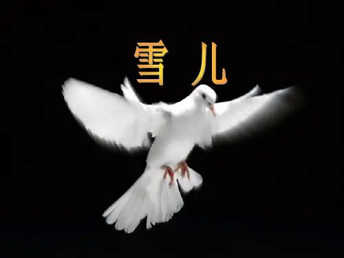 苏教版三年级语文下册《文  5 雪儿》优质课课件_23