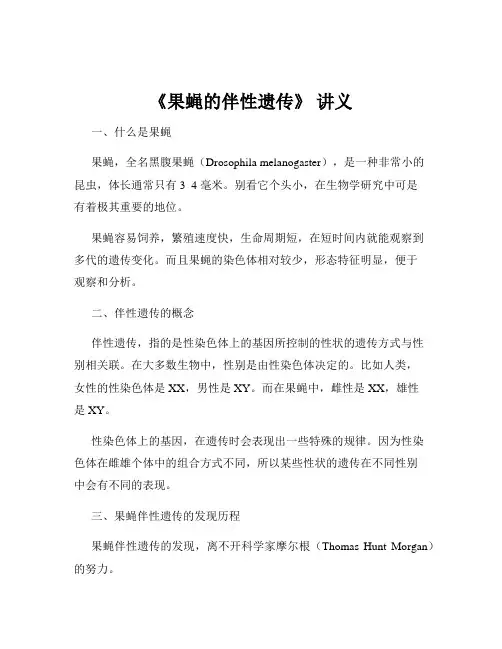 《果蝇的伴性遗传》 讲义