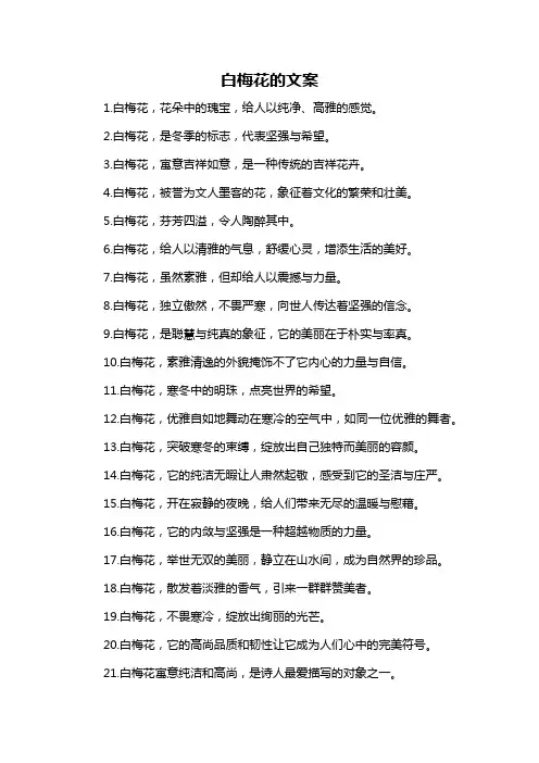 白梅花的文案-概述说明以及解释