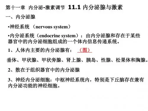 动物生理学第十一章内分泌-激素调节