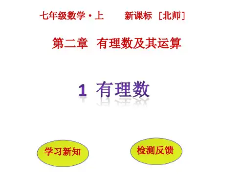 北师大版初一数学七年级上册PPT课件2.1《有理数》ppt课件