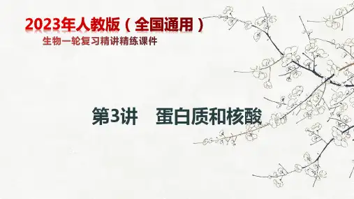 蛋白质和核酸-2024年高考生物一轮复习备课精选课件
