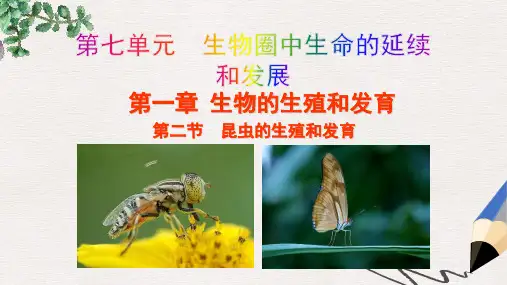 新版新人教版八年级生物下册7.1.2昆虫的生殖和发育教学课件
