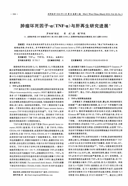 肿瘤坏死因子-α(TNF-α)与肝再生研究进展