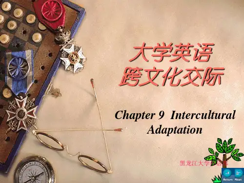 跨文化交际-黑龙江大学-崔常亮老师-chapter 9-CD