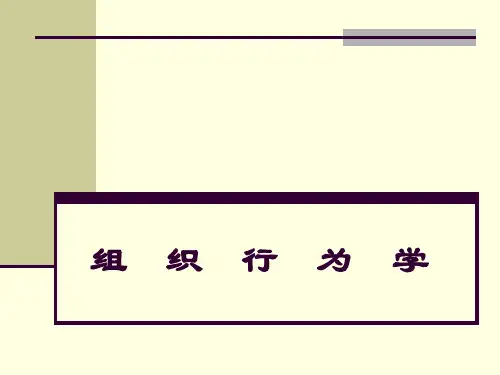 组织行为学概述