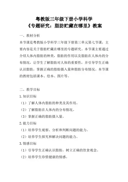 粤教版三年级下册小学科学《专题研究：脂肪贮藏在哪里》教案