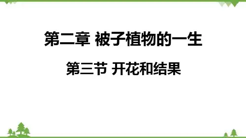 人教版生物七年级上册  开花和结果课件