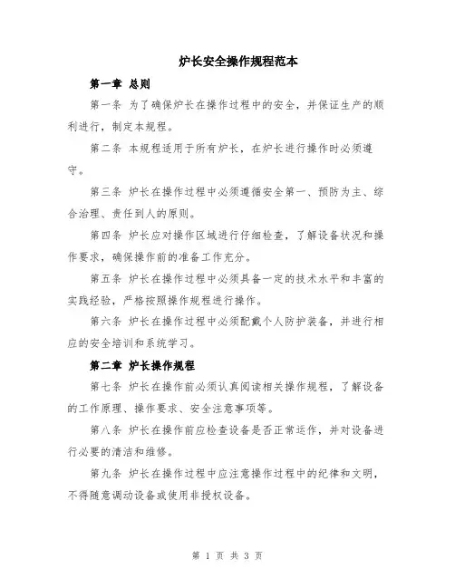 炉长安全操作规程范本