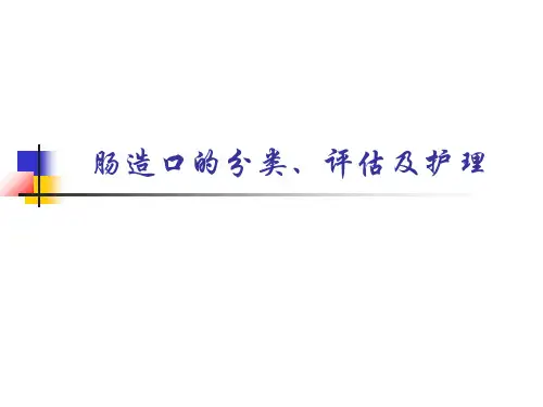 造口的分类