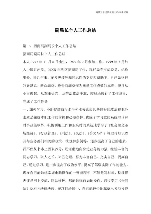 副局长个人工作总结