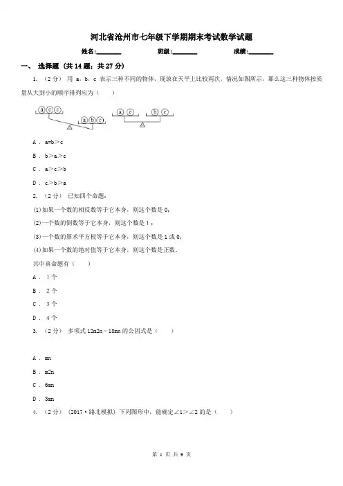 河北省沧州市七年级下学期期末考试数学试题 