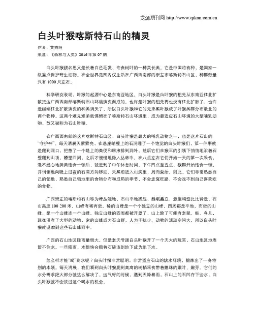 白头叶猴喀斯特石山的精灵