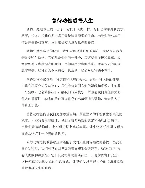 善待动物感悟人生